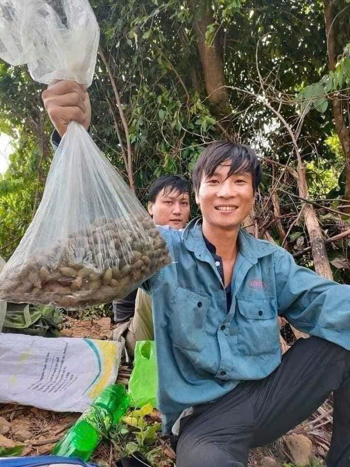 ươi bay an nam tử ươi rừng an nam y quán